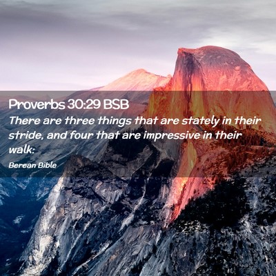 Picture 02 - Proverbs 30:29 BSB - There are three things that are stately in their - Bible Verse Picture