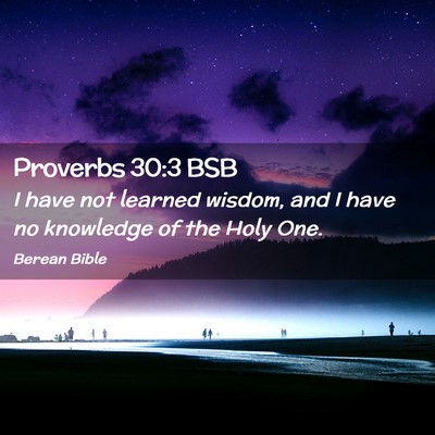 Picture 02 - Proverbs 30:3 BSB - I have not learned wisdom, and I have no - Bible Verse Picture