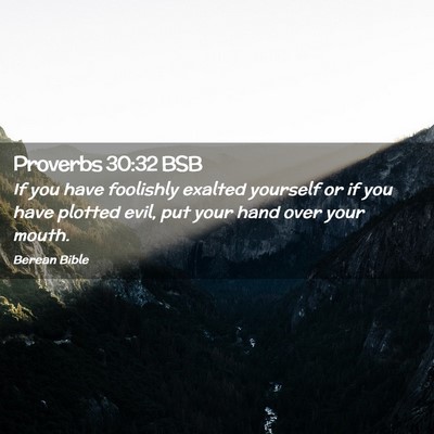Picture 02 - Proverbs 30:32 BSB - If you have foolishly exalted yourself or if you - Bible Verse Picture