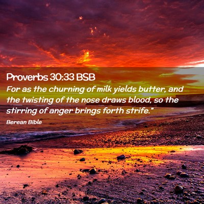 Picture 02 - Proverbs 30:33 BSB - For as the churning of milk yields butter, and - Bible Verse Picture