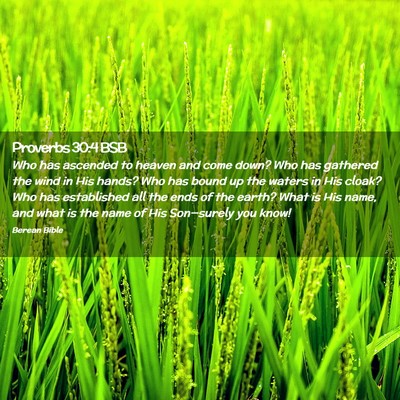 Picture 02 - Proverbs 30:4 BSB - Who has ascended to heaven and come down? Who has - Bible Verse Picture