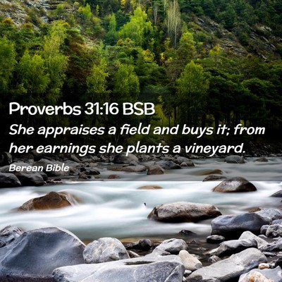 Picture 02 - Proverbs 31:16 BSB - She appraises a field and buys it; from her - Bible Verse Picture