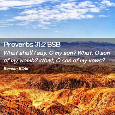 Picture 02 - Proverbs 31:2 BSB - What shall I say, O my son? What, O son of my - Bible Verse Picture