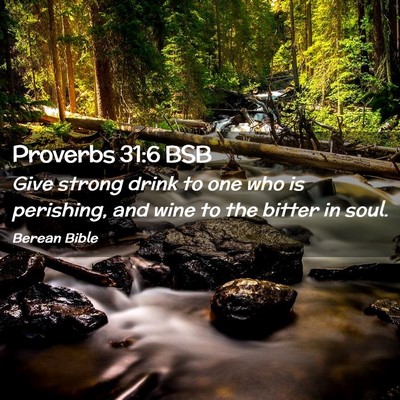 Picture 02 - Proverbs 31:6 BSB - Give strong drink to one who is perishing, and - Bible Verse Picture