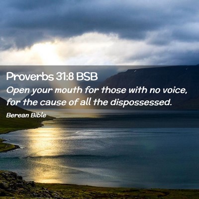 Picture 02 - Proverbs 31:8 BSB - Open your mouth for those with no voice, for the - Bible Verse Picture