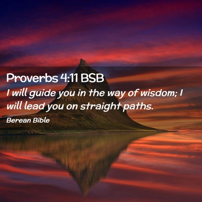 Picture 02 - Proverbs 4:11 BSB - I will guide you in the way of wisdom; I will - Bible Verse Picture