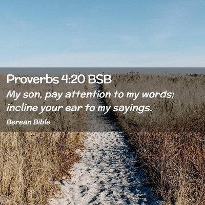 Picture 02 - Proverbs 4:20 BSB - My son, pay attention to my words; incline your - Bible Verse Picture