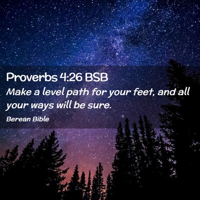 Picture 02 - Proverbs 4:26 BSB - Make a level path for your feet, and all your - Bible Verse Picture