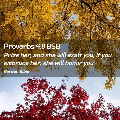 Picture 02 - Proverbs 4:8 BSB - Prize her, and she will exalt you; if you embrace - Bible Verse Picture