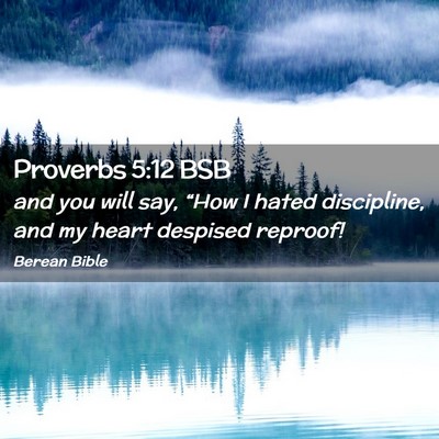 Picture 02 - Proverbs 5:12 BSB - and you will say, “How I hated discipline, and - Bible Verse Picture