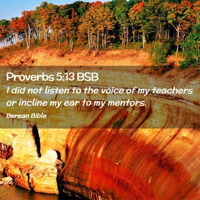 Picture 02 - Proverbs 5:13 BSB - I did not listen to the voice of my teachers or - Bible Verse Picture