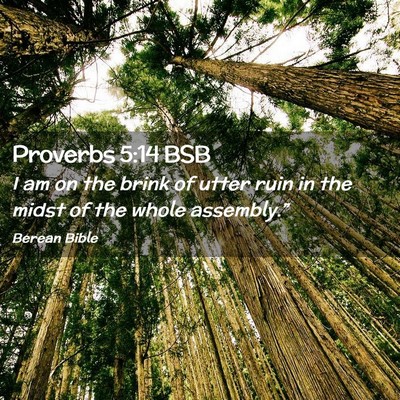 Picture 02 - Proverbs 5:14 BSB - I am on the brink of utter ruin in the midst of - Bible Verse Picture