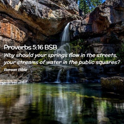 Picture 02 - Proverbs 5:16 BSB - Why should your springs flow in the streets, your - Bible Verse Picture