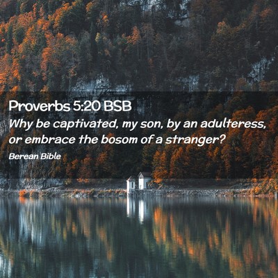 Picture 02 - Proverbs 5:20 BSB - Why be captivated, my son, by an adulteress, or - Bible Verse Picture