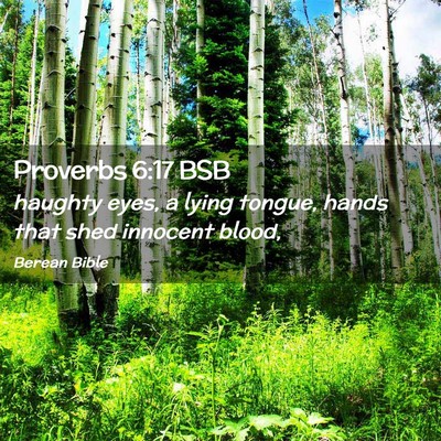Picture 02 - Proverbs 6:17 BSB - haughty eyes, a lying tongue, hands that shed - Bible Verse Picture
