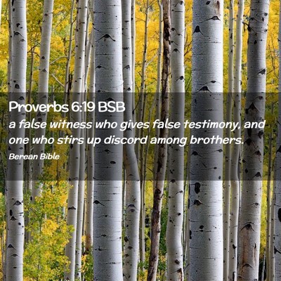 Picture 02 - Proverbs 6:19 BSB - a false witness who gives false testimony, and - Bible Verse Picture