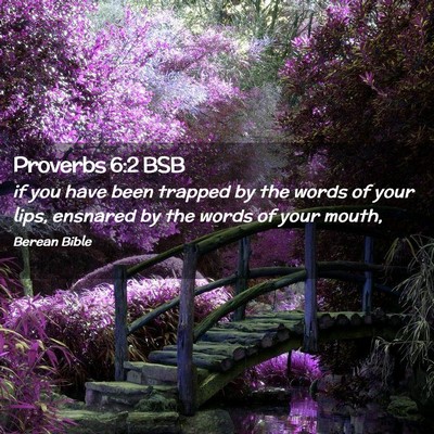 Picture 02 - Proverbs 6:2 BSB - if you have been trapped by the words of your - Bible Verse Picture