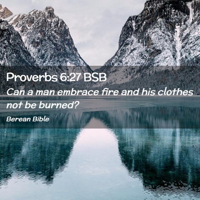Picture 02 - Proverbs 6:27 BSB - Can a man embrace fire and his clothes not be - Bible Verse Picture