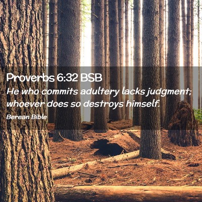 Picture 02 - Proverbs 6:32 BSB - He who commits adultery lacks judgment; whoever - Bible Verse Picture