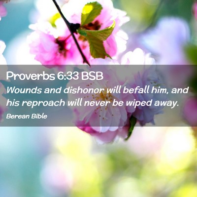 Picture 02 - Proverbs 6:33 BSB - Wounds and dishonor will befall him, and his - Bible Verse Picture