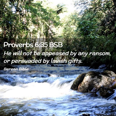 Picture 02 - Proverbs 6:35 BSB - He will not be appeased by any ransom, or - Bible Verse Picture