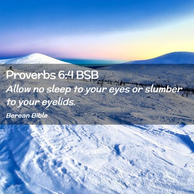 Picture 02 - Proverbs 6:4 BSB - Allow no sleep to your eyes or slumber to your - Bible Verse Picture