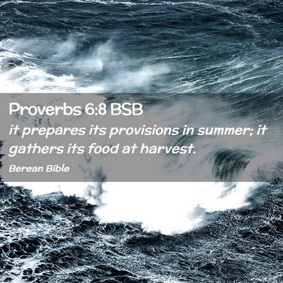 Picture 02 - Proverbs 6:8 BSB - it prepares its provisions in summer; it gathers - Bible Verse Picture