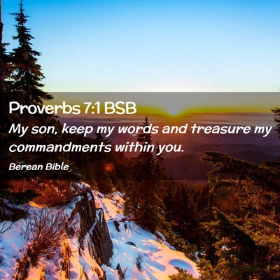 Picture 02 - Proverbs 7:1 BSB - My son, keep my words and treasure my - Bible Verse Picture