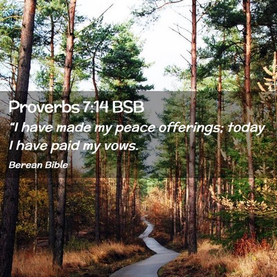 Picture 02 - Proverbs 7:14 BSB - “I have made my peace offerings; today I have - Bible Verse Picture