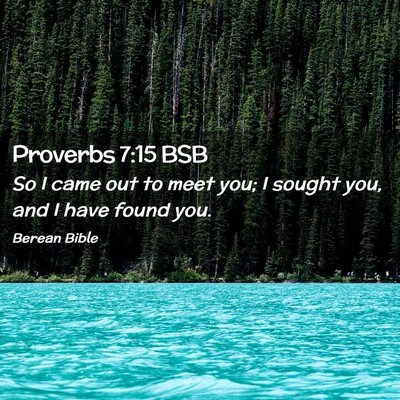 Picture 02 - Proverbs 7:15 BSB - So I came out to meet you; I sought you, and I - Bible Verse Picture