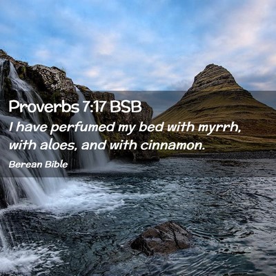 Picture 02 - Proverbs 7:17 BSB - I have perfumed my bed with myrrh, with aloes, - Bible Verse Picture