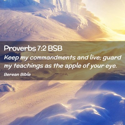 Picture 02 - Proverbs 7:2 BSB - Keep my commandments and live; guard my teachings - Bible Verse Picture