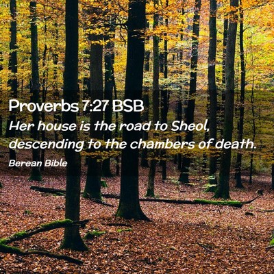 Picture 02 - Proverbs 7:27 BSB - Her house is the road to Sheol, descending to the - Bible Verse Picture