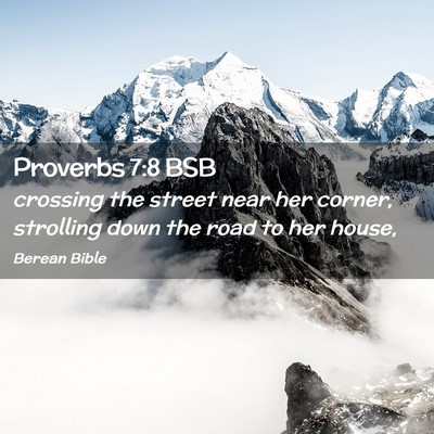 Picture 02 - Proverbs 7:8 BSB - crossing the street near her corner, strolling - Bible Verse Picture