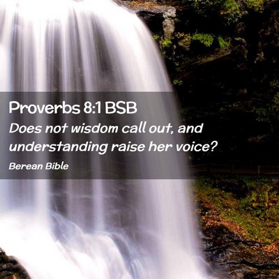 Picture 02 - Proverbs 8:1 BSB - Does not wisdom call out, and understanding raise - Bible Verse Picture