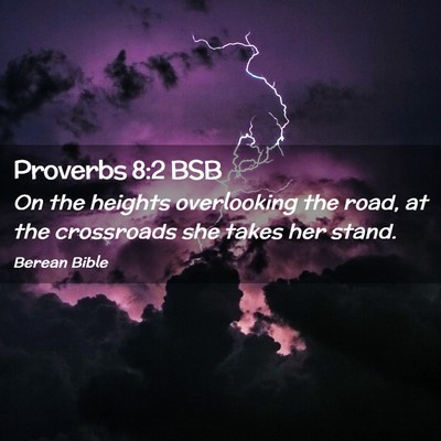 Picture 02 - Proverbs 8:2 BSB - On the heights overlooking the road, at the - Bible Verse Picture