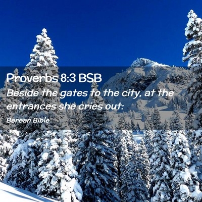 Picture 02 - Proverbs 8:3 BSB - Beside the gates to the city, at the entrances - Bible Verse Picture