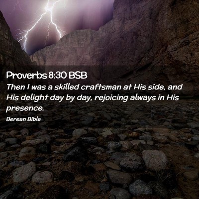 Picture 02 - Proverbs 8:30 BSB - Then I was a skilled craftsman at His side, and - Bible Verse Picture