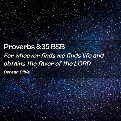 Picture 02 - Proverbs 8:35 BSB - For whoever finds me finds life and obtains the - Bible Verse Picture