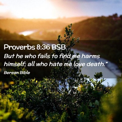 Picture 02 - Proverbs 8:36 BSB - But he who fails to find me harms himself; all - Bible Verse Picture