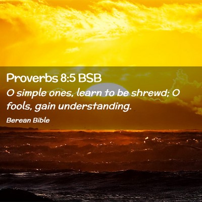 Picture 02 - Proverbs 8:5 BSB - O simple ones, learn to be shrewd; O fools, gain - Bible Verse Picture