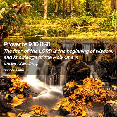 Picture 02 - Proverbs 9:10 BSB - The fear of the LORD is the beginning of wisdom, - Bible Verse Picture
