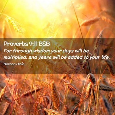 Picture 02 - Proverbs 9:11 BSB - For through wisdom your days will be multiplied, - Bible Verse Picture