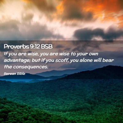 Picture 02 - Proverbs 9:12 BSB - If you are wise, you are wise to your own - Bible Verse Picture