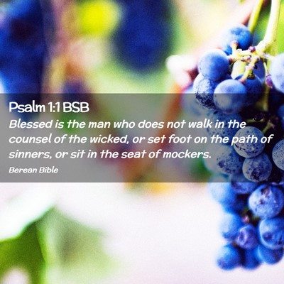 Picture 02 - Psalm 1:1 BSB - Blessed is the man who does not walk in the - Bible Verse Picture