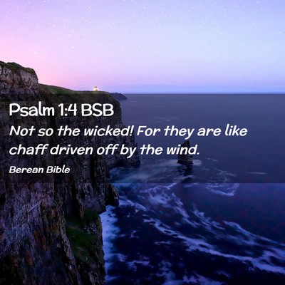 Picture 02 - Psalm 1:4 BSB - Not so the wicked! For they are like chaff driven - Bible Verse Picture