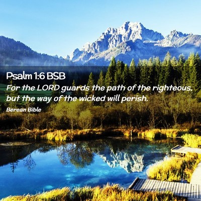 Picture 02 - Psalm 1:6 BSB - For the LORD guards the path of the righteous, - Bible Verse Picture