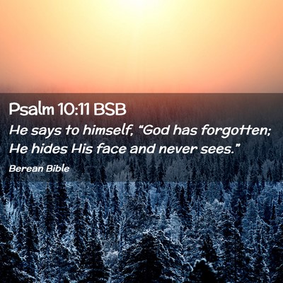 Picture 02 - Psalm 10:11 BSB - He says to himself, “God has forgotten; He - Bible Verse Picture