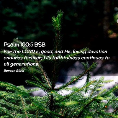 Picture 02 - Psalm 100:5 BSB - For the LORD is good, and His loving devotion - Bible Verse Picture