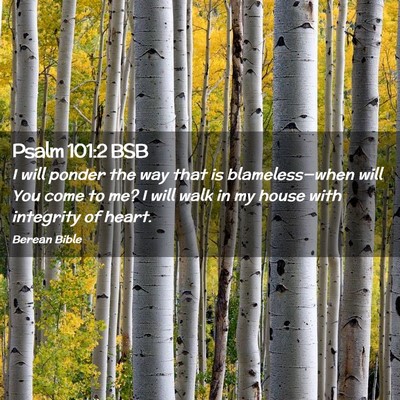 Picture 02 - Psalm 101:2 BSB - I will ponder the way that is blameless—when - Bible Verse Picture